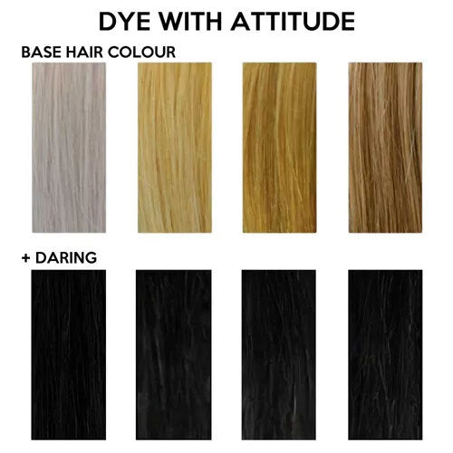 Pop Rock Pink/Black Attitude Hair Dye Duo