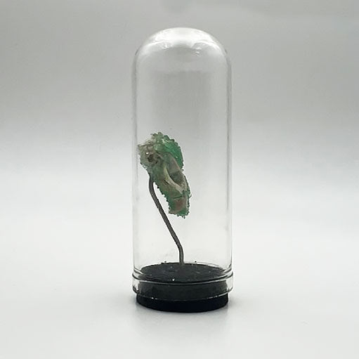 Crystalised Mouse Skull Genuine Bone Specimen Dome