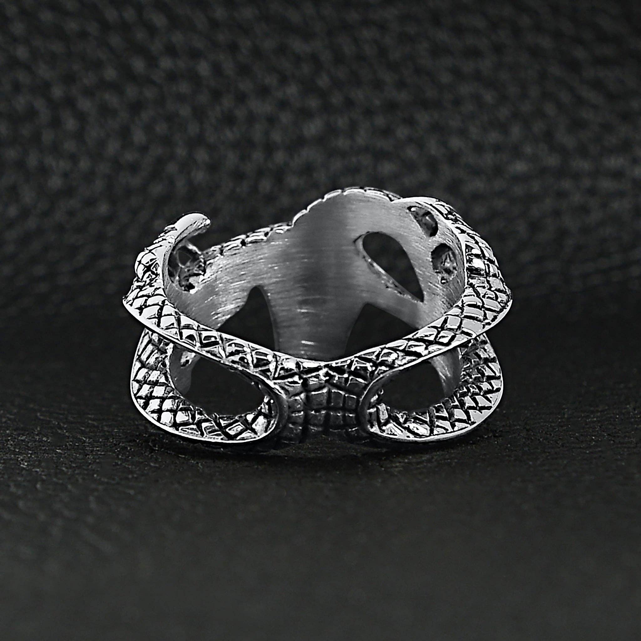 Dragon Defender Ring
