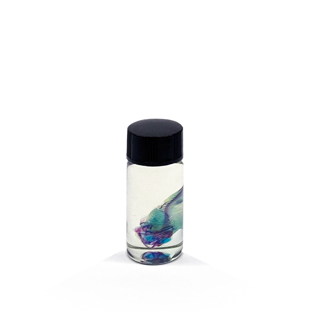 Gudgeon Diaphonised