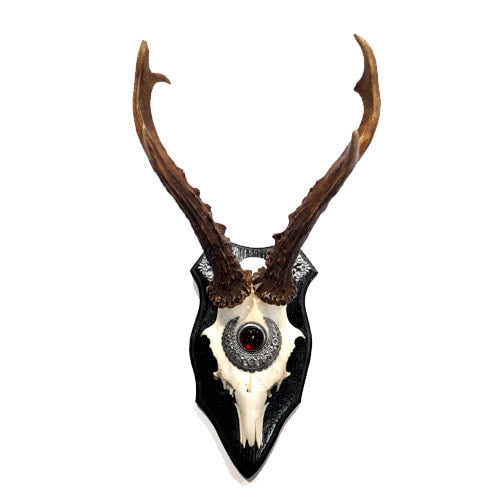 Roe Mystic Maidens Wall Shield