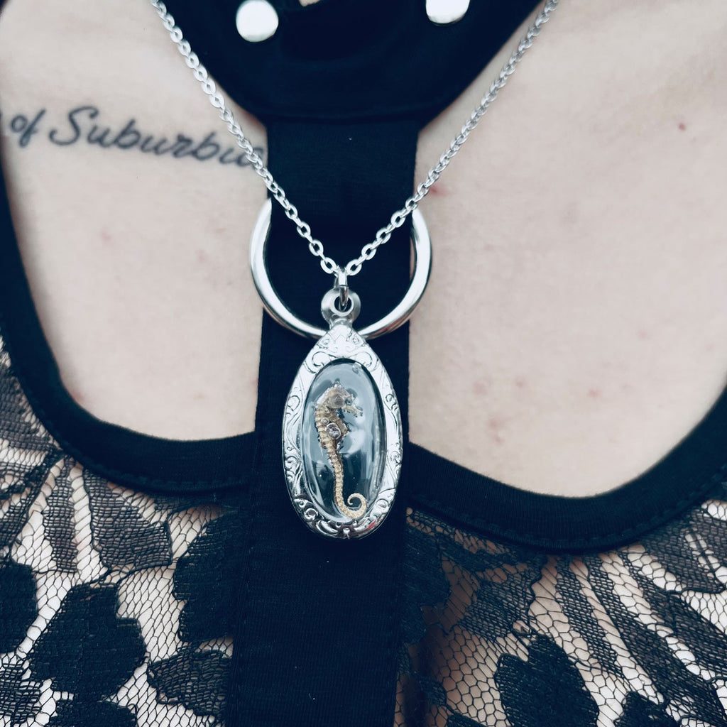 Brooding Seahorse Genuine Specimen Necklace