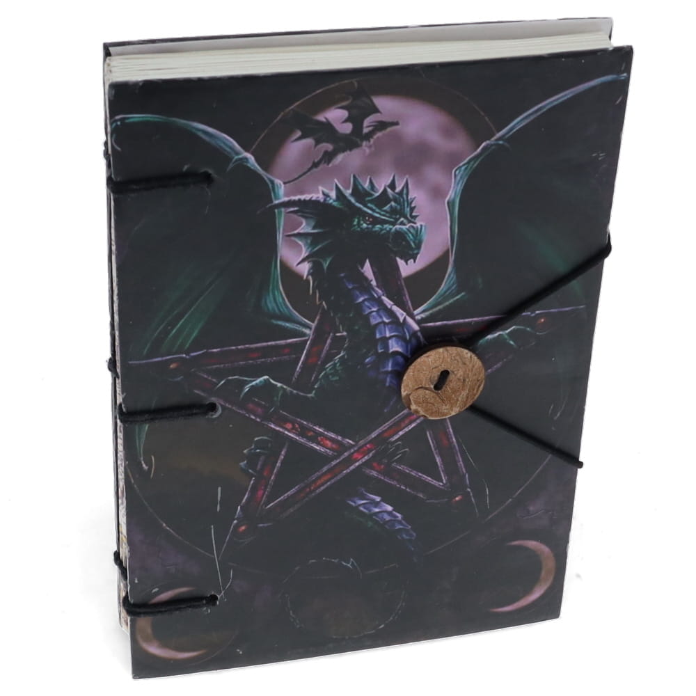 Dragons Guard Journal