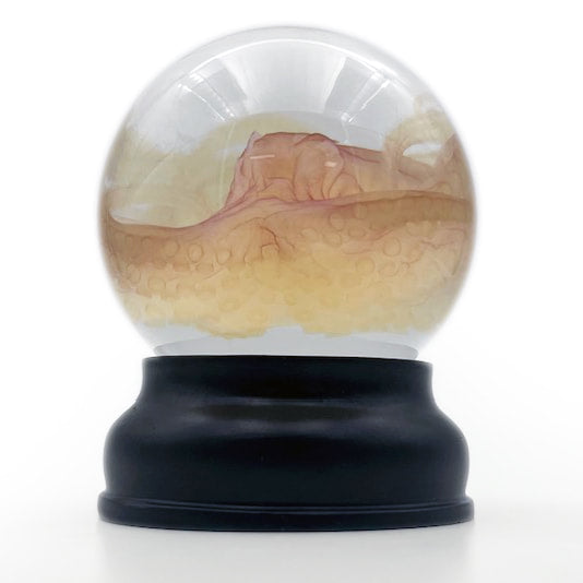 Octopus Experimental Diaphonised Wet Specimen Globe