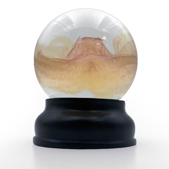 Octopus Experimental Diaphonised Wet Specimen Globe