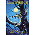 IRON MAIDEN Fear Of The Dark Wall Flag