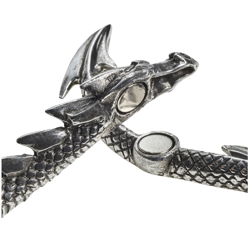 Dragons Lure Necklace
