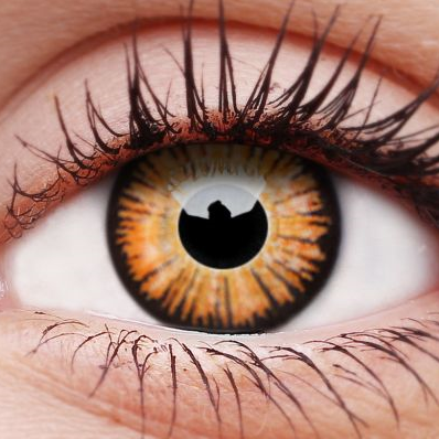 Twilight Contact Lenses