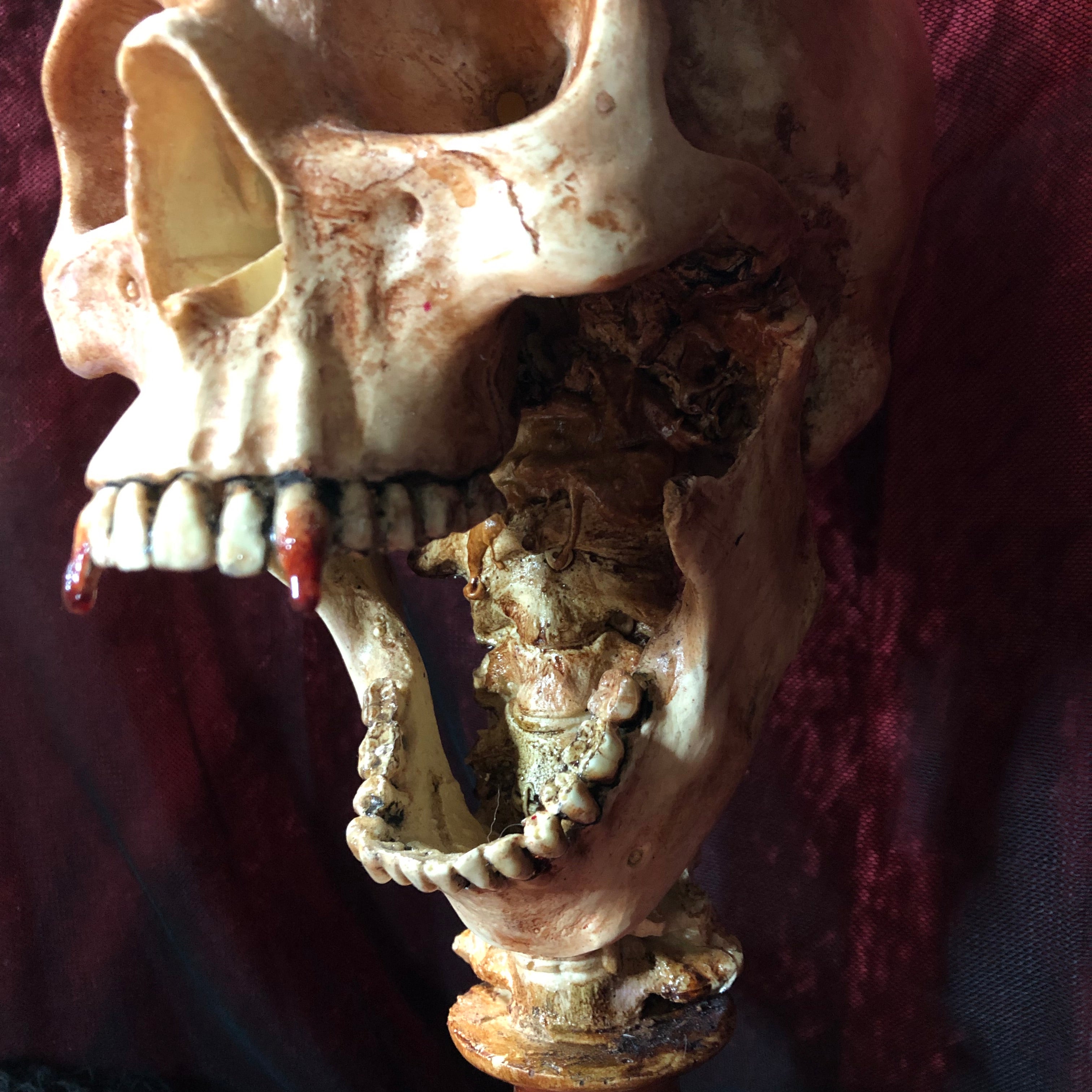 The Count Skull Statue