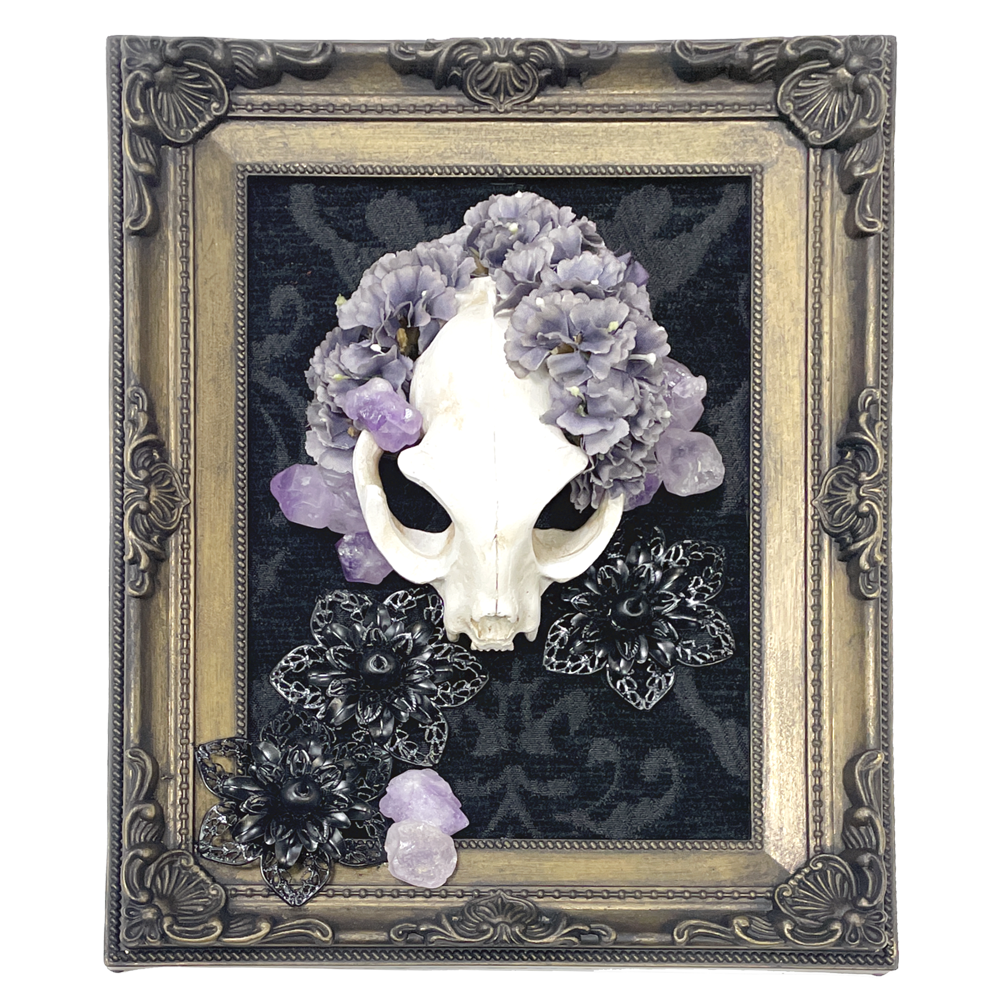 Conducive Realms Cat Skull Faux Curiosity Frame