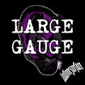 001i Large Lobe Guage Piercing
