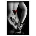 Secret Rose Poster 081