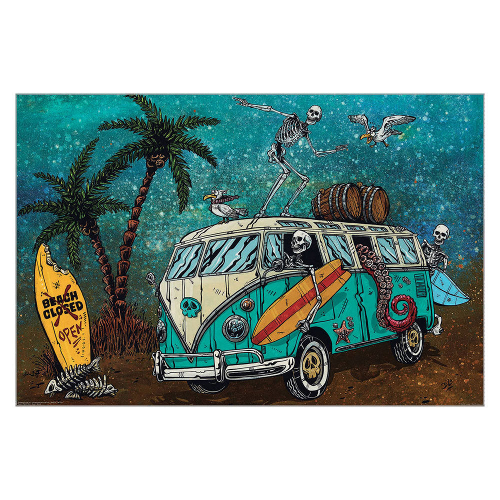 Skeleton Beach Break, David Lozeau Poster 065
