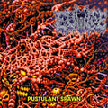 EVULSE: Pustulant Spawn Vinyl LP