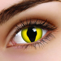 Cat's Eye Contact Lenses