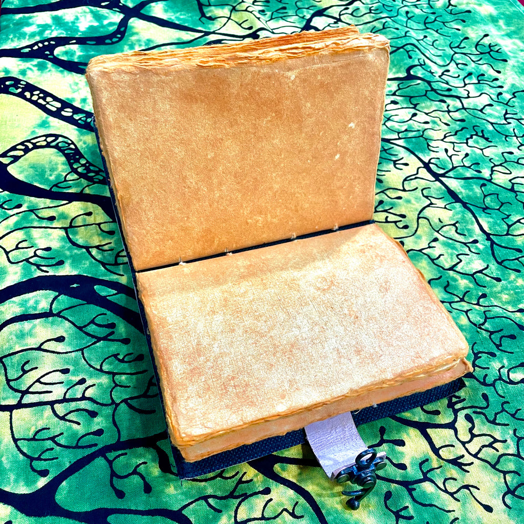 Medusa's Nights Leather Journal