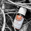 Aroma Fragrant Oil Pure Sandalwood 10ml