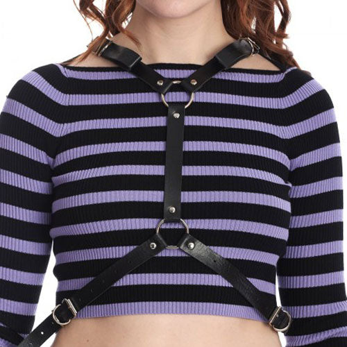 Fallen Angel Harness