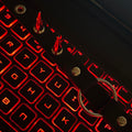 Spike CTRL Choker