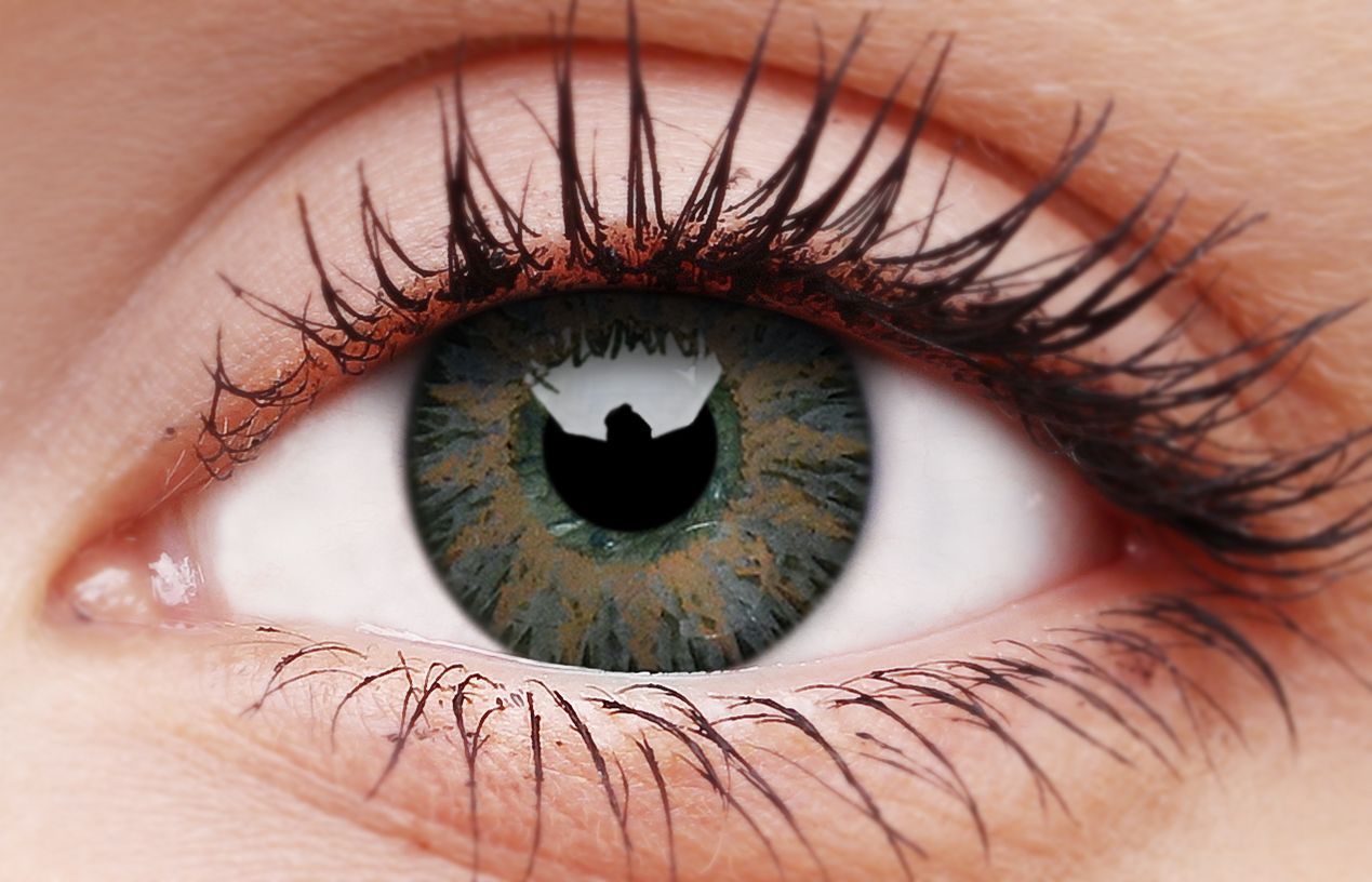 Glamour Natural Look Grey Contact Lenses