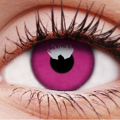 Purple Coloured Contact Lenses
