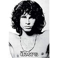 DOORS Jim Morrison Wall Flag
