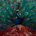 OPETH Sorceress 2CD (2016)