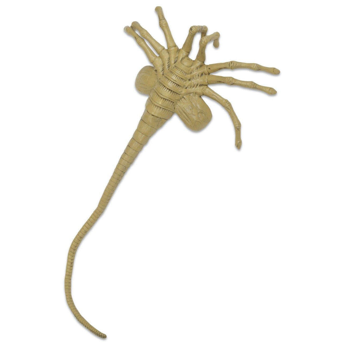 Alien Life Size Facehugger Foam Replica