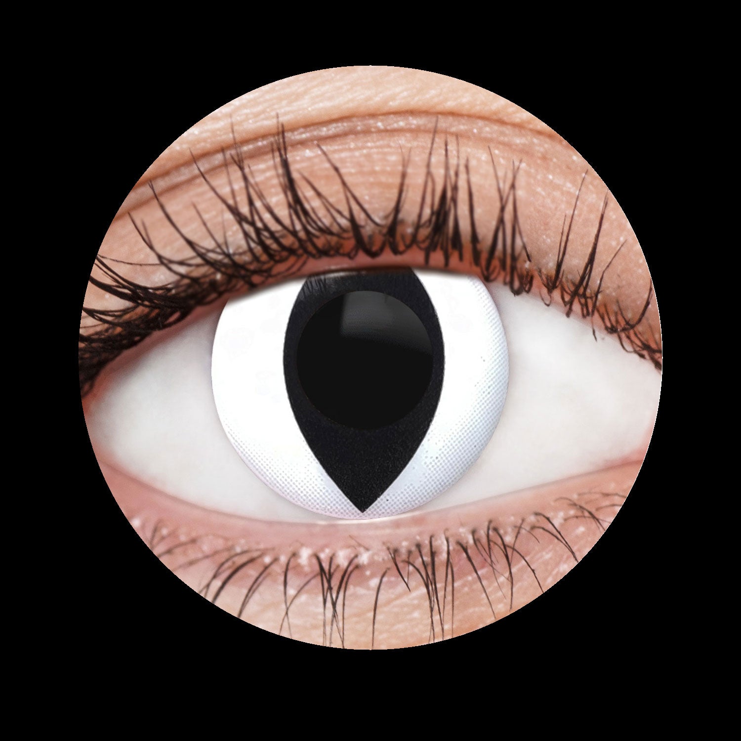 White Cat Contact Lenses