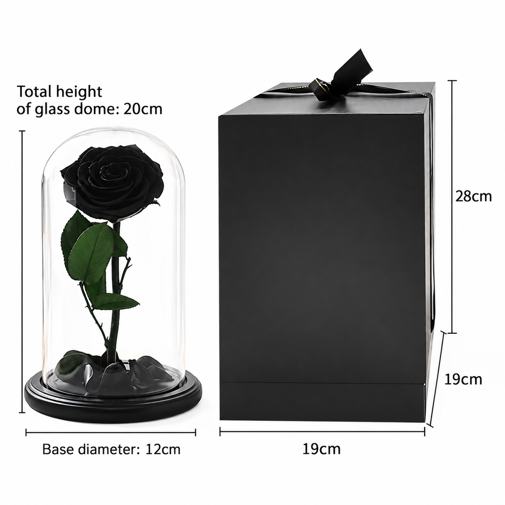 Eternal Black Rose Dome, preserved black rose in a glass dome