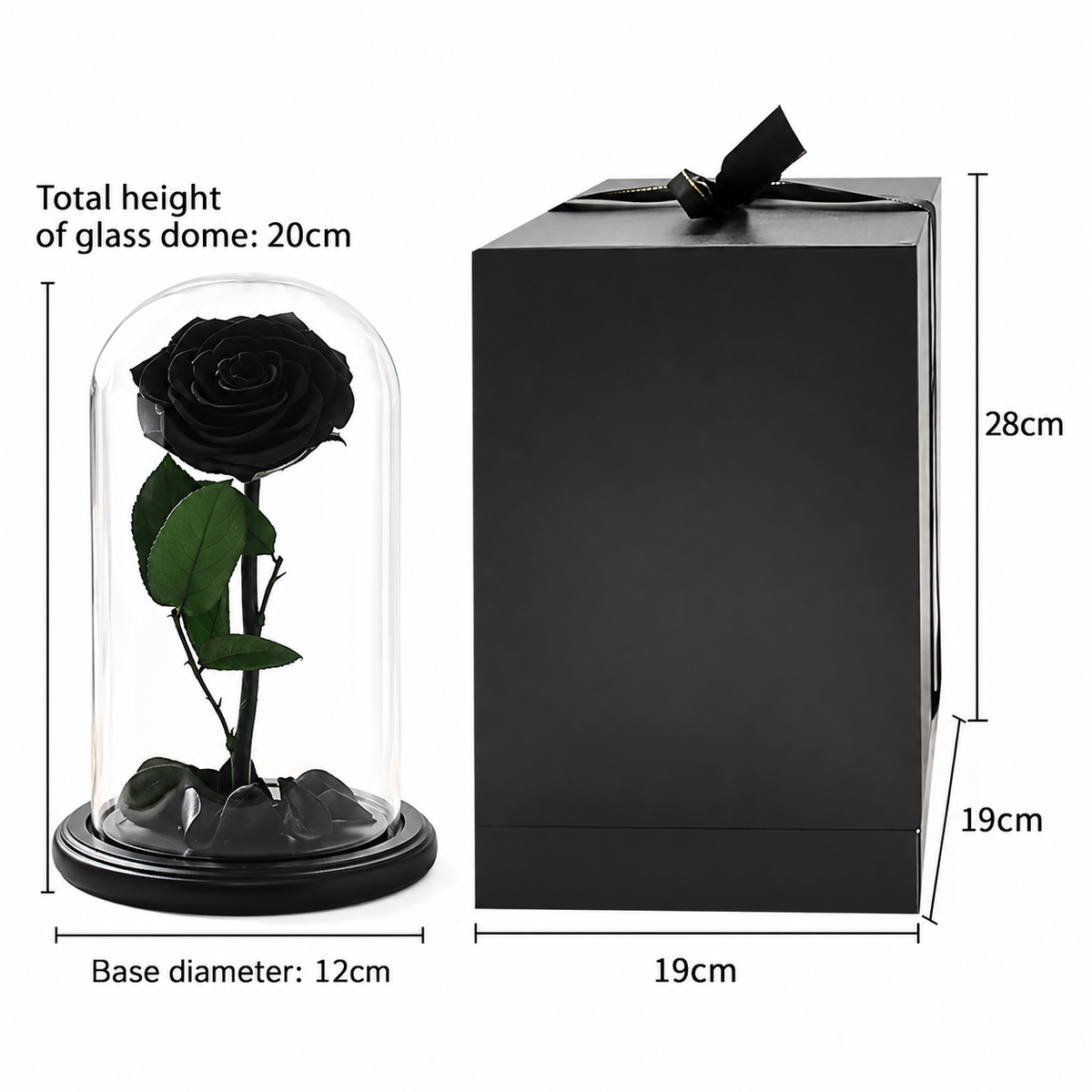 Eternal Black Rose Dome, preserved black rose in a glass dome