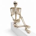 Bone Idle Skeleton Prop, 165cm, realistic plastic human skeleton decoration