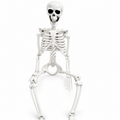 Bone Idle Skeleton Prop, 90cm, realistic plastic human skeleton decoration