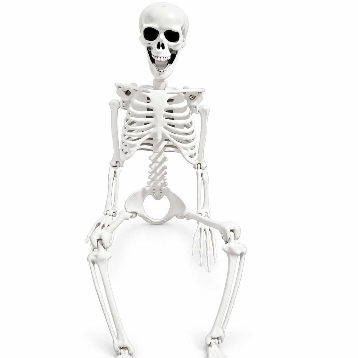 Bone Idle Skeleton Prop, 90cm, realistic plastic human skeleton decoration