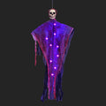 Bloodied Banshee Light-Up Ghost, Purple, hanging skull ghost with LED lights
